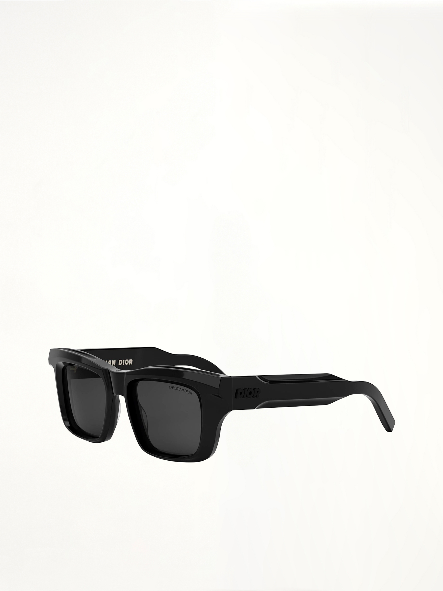 Dior DIORXPLORER S2F 10A052 Sunglasses in Black