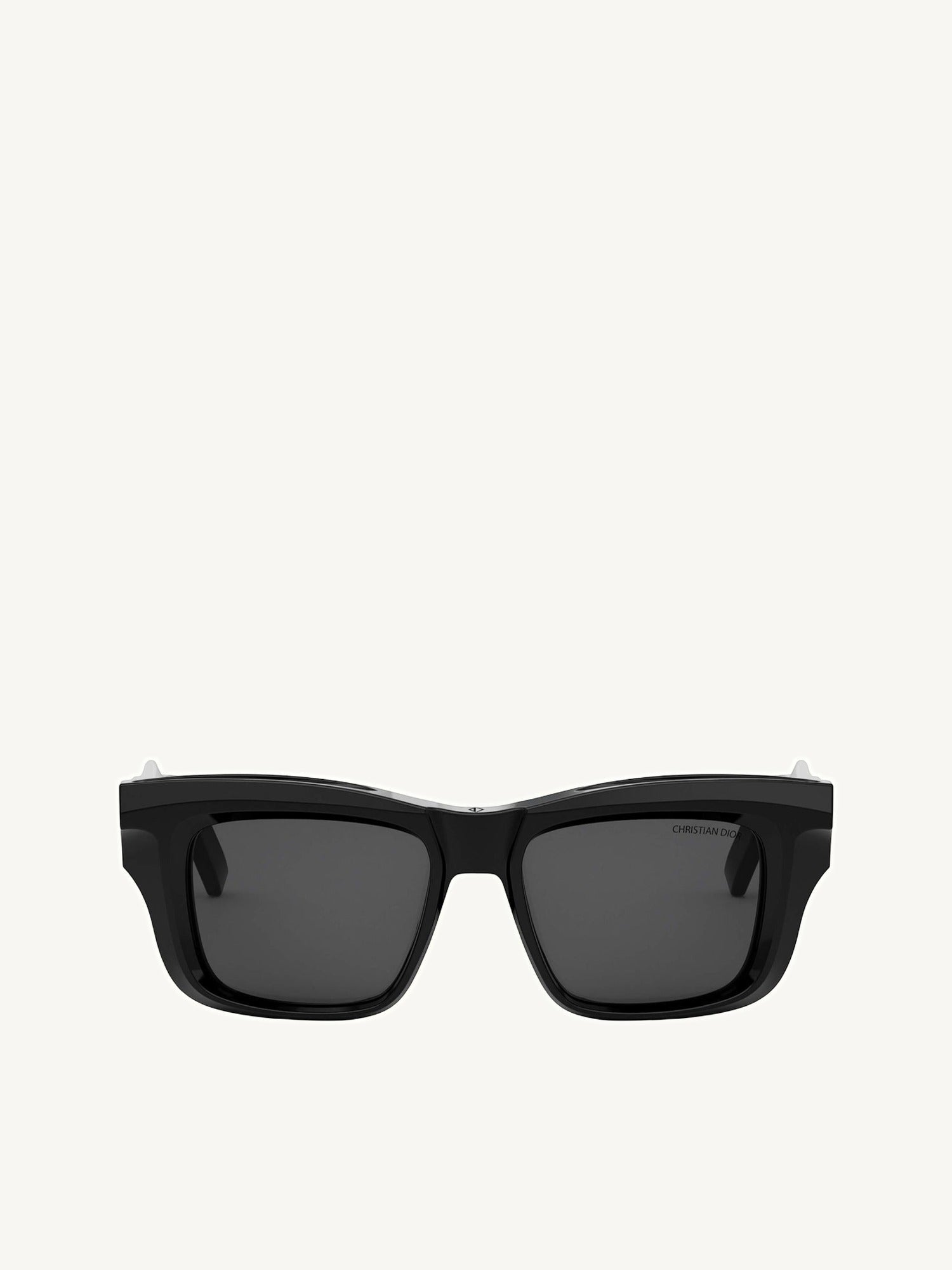 Dior DIORXPLORER S2F 10A052 Sunglasses in Black