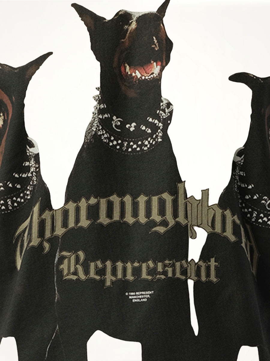 Thoroughbred T-Shirt in Khaki