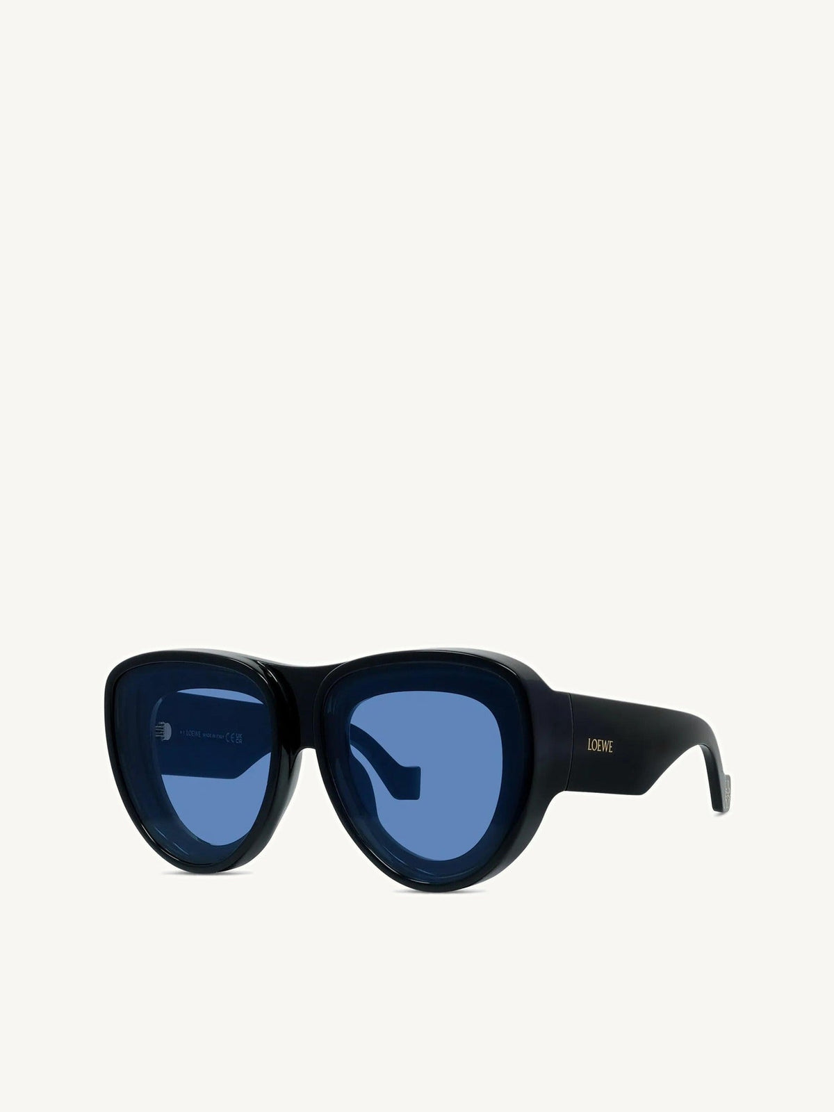 LW40170U INJECTED Sunglasses in Black
