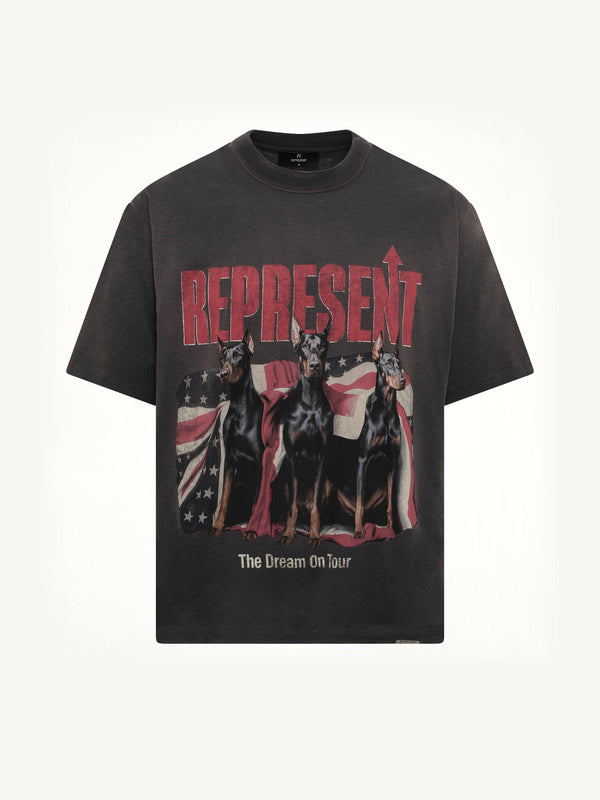Dream On Tour T-Shirt in Sun Fade Grey