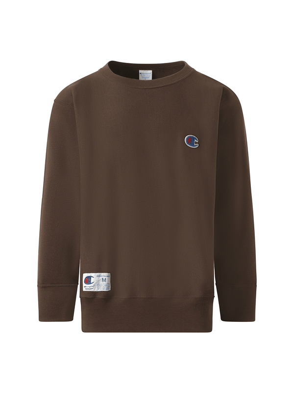 Undercover Undercover x Champion Sweatshirt in Brown