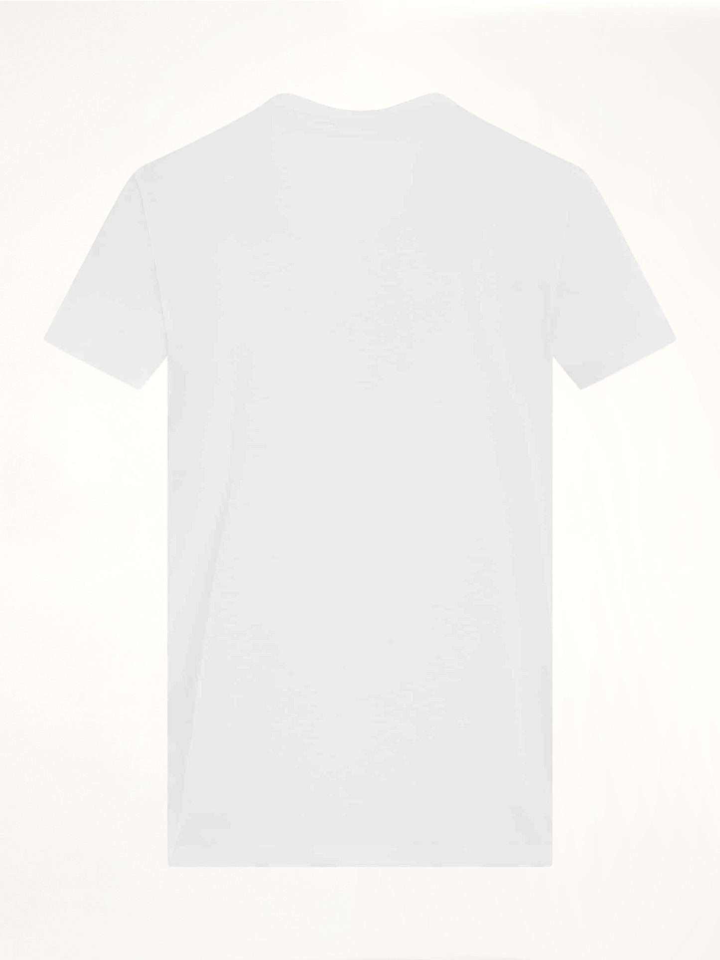 Logo Flock Classic Fit T-Shirt in White/Black