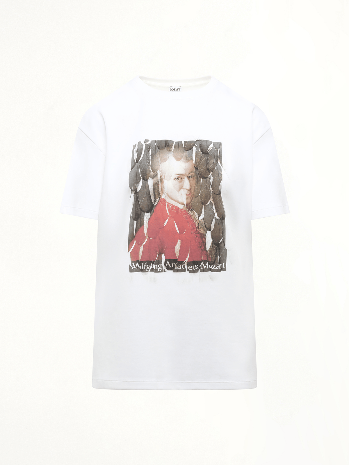 Loewe Wolfgang Relaxed T-Shirt in Multicolour