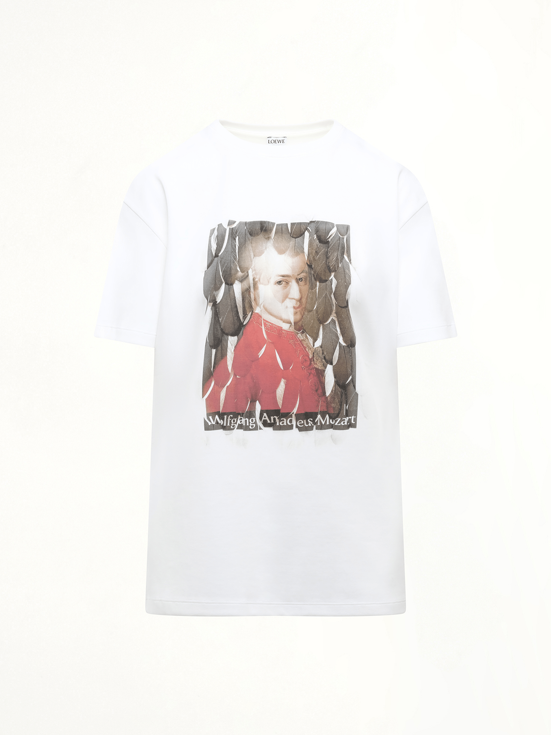 Loewe Wolfgang Relaxed T-Shirt in Multicolour
