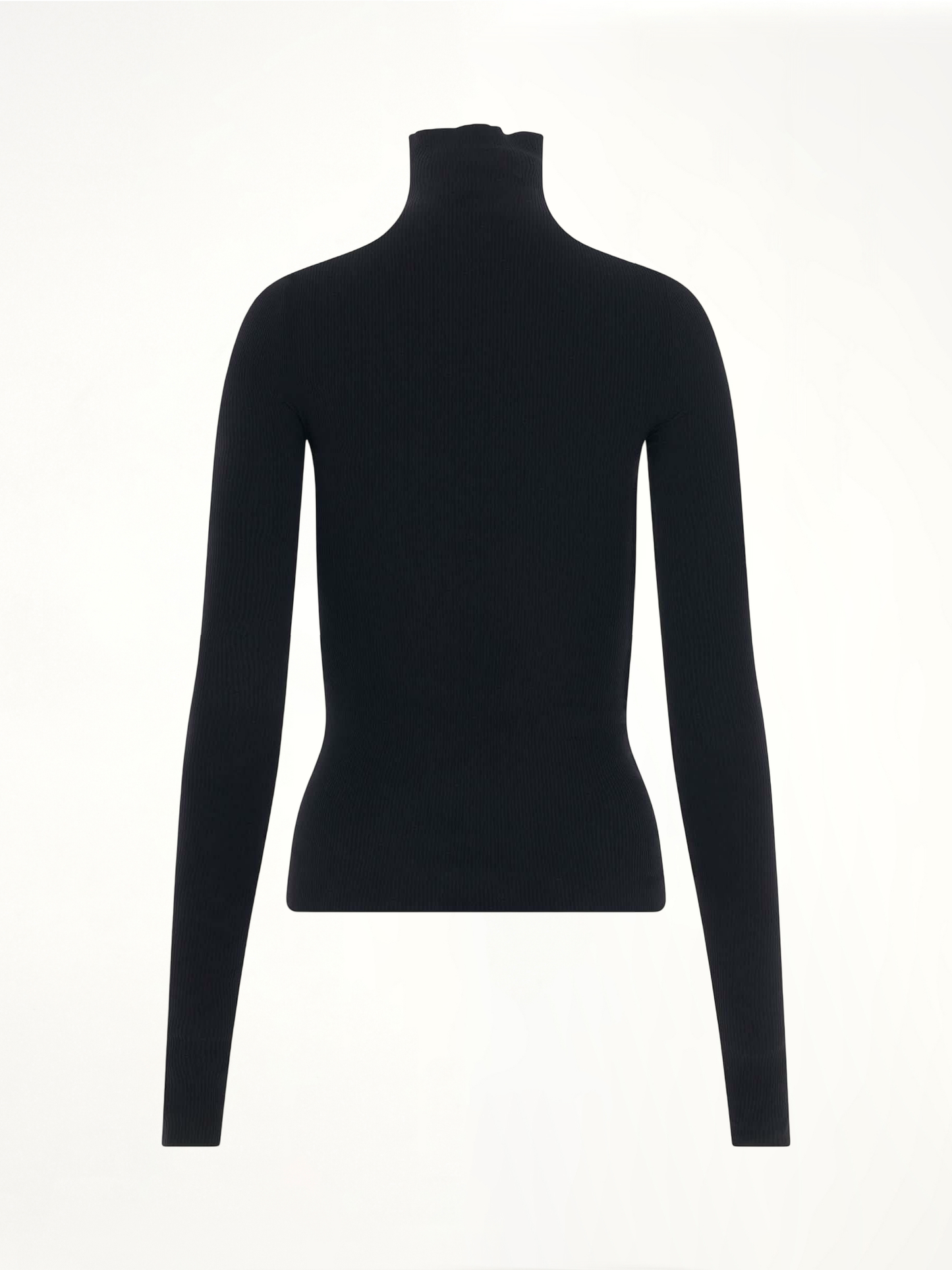 Turtleneck Sweater in Black