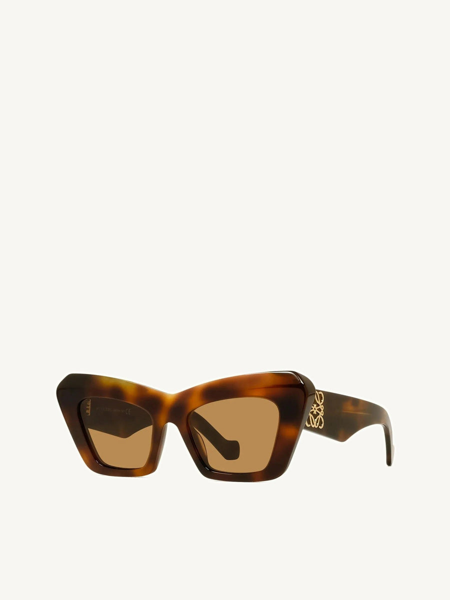 Loewe LW40036I 5153E Acetate Sunglasses in Tortoise/Brown