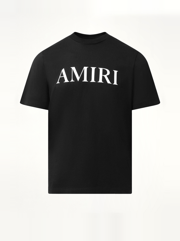Amiri Core Logo T-Shirt in Black/White