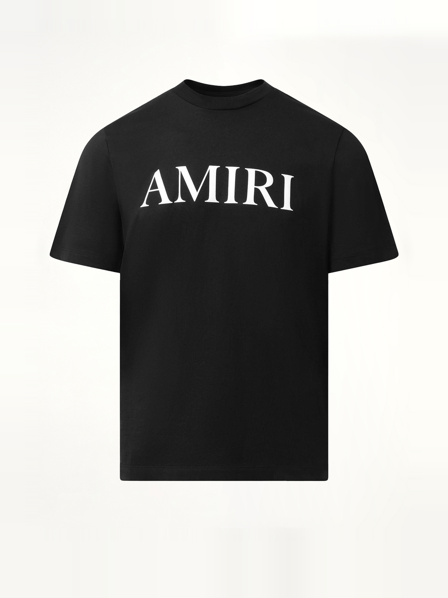 Amiri Core Logo T-Shirt in Black/White