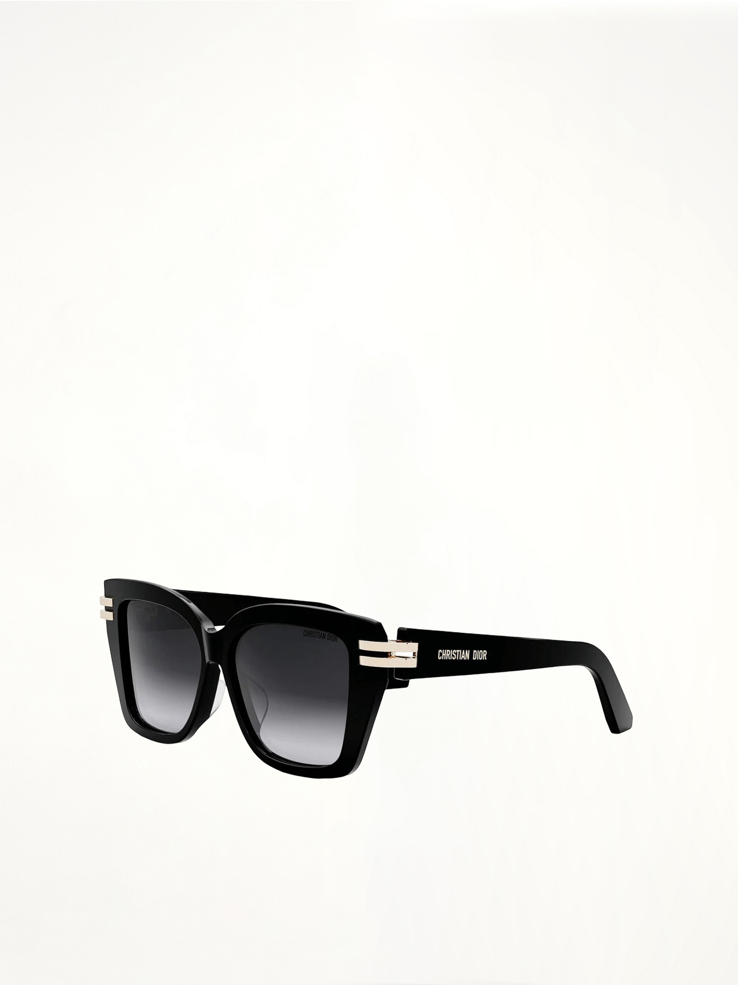Dior CDIOR S1F 10A156 Sunglasses in Black