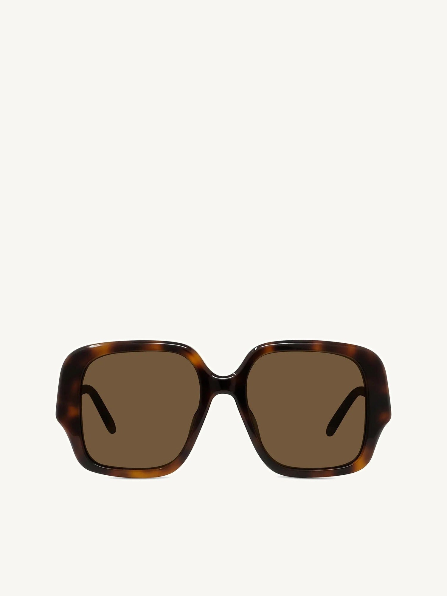 Loewe LW40134U 5452E Acetate Sunglasses in Tortoise