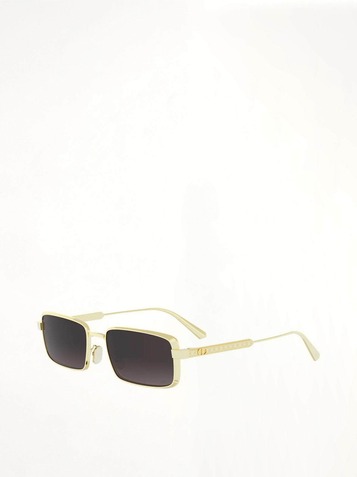 DIORCANNAGE S2U B0A155 in Shiny Gold