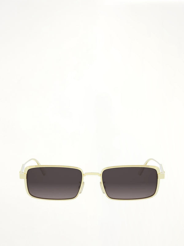 DIORCANNAGE S2U B0A155 in Shiny Gold