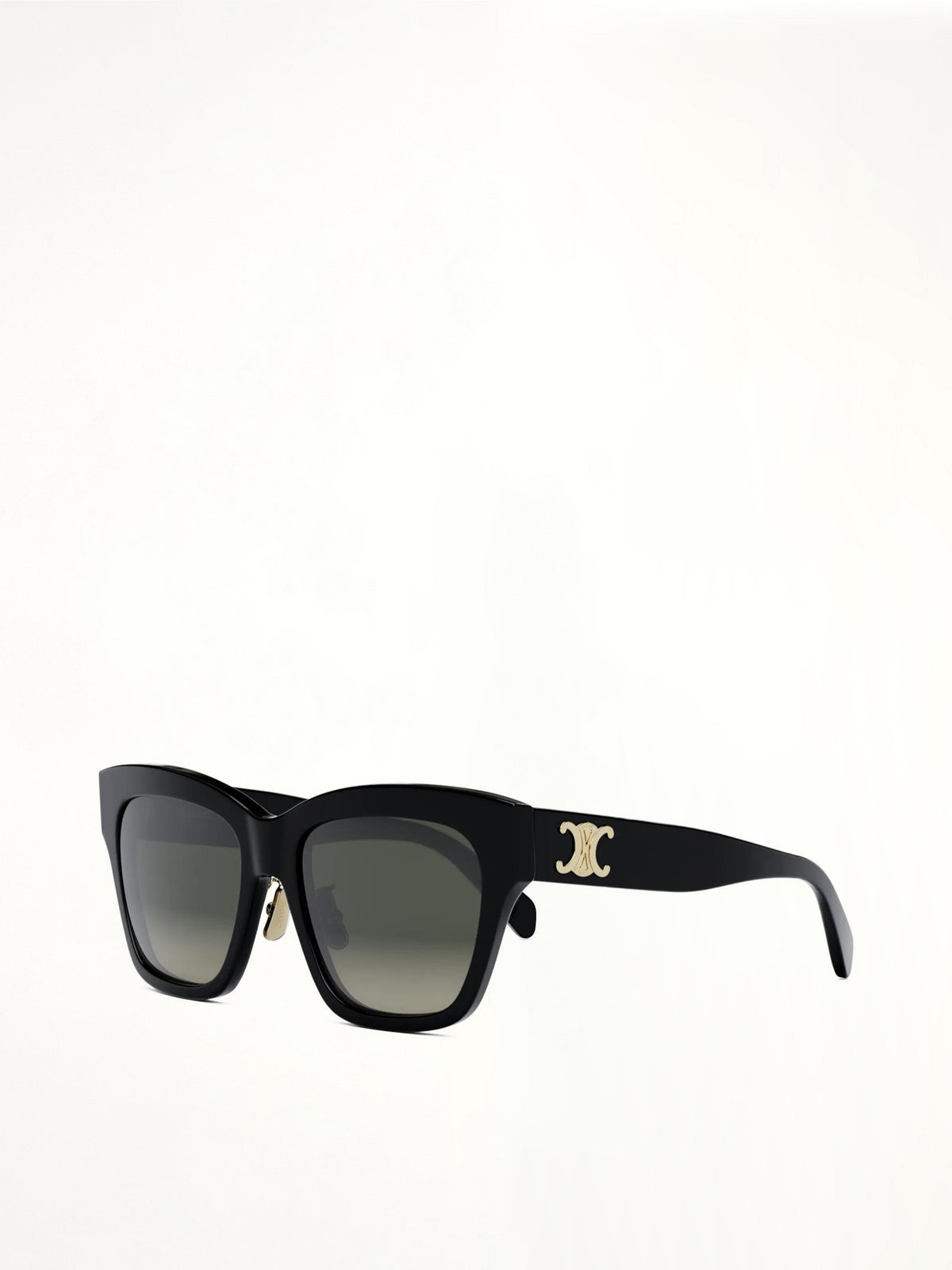 Celine CL40253F 5501F Cat Eye Acetate Sunglasses in Black
