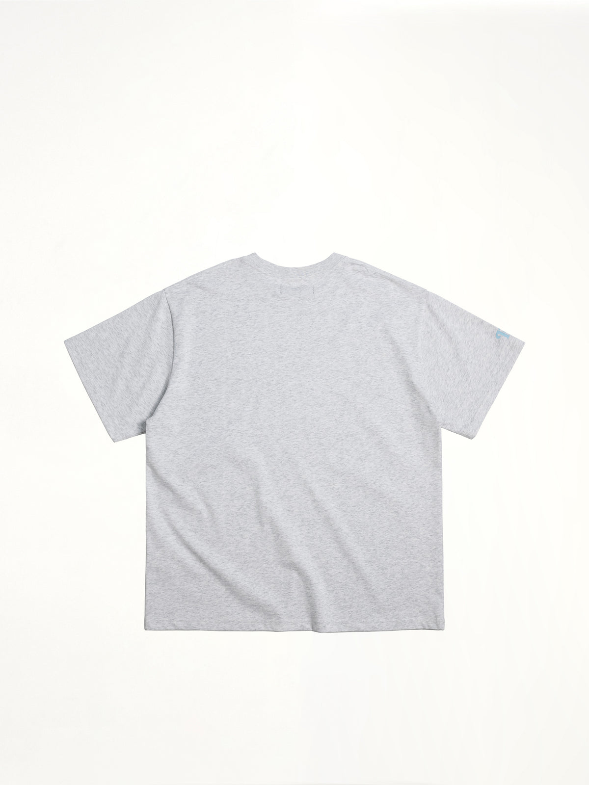 J Carnival II World Tour Frozen World T-Shirt in Grey
