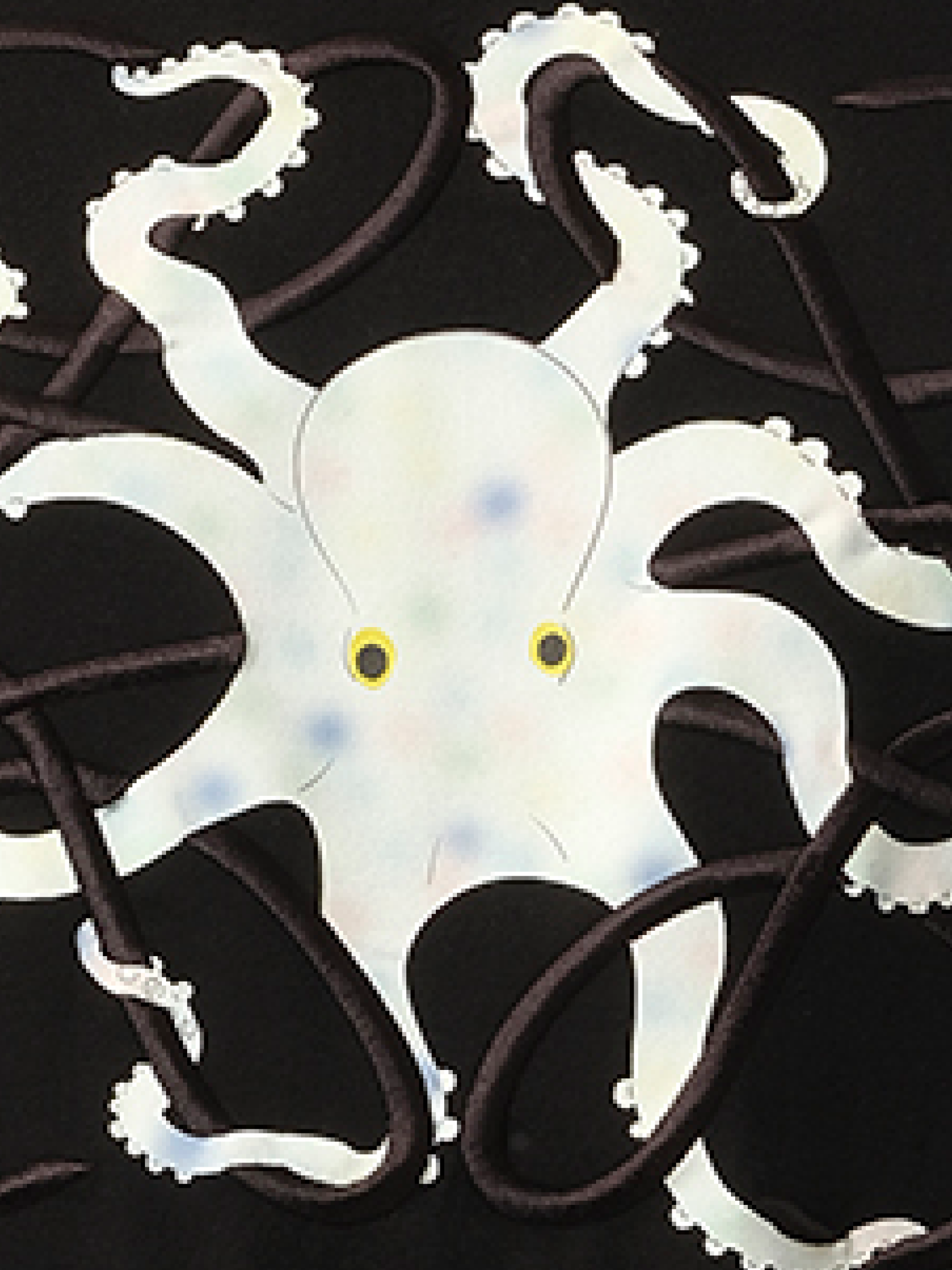 Loewe Suna Fujita Octopus Print T-Shirt in Black
