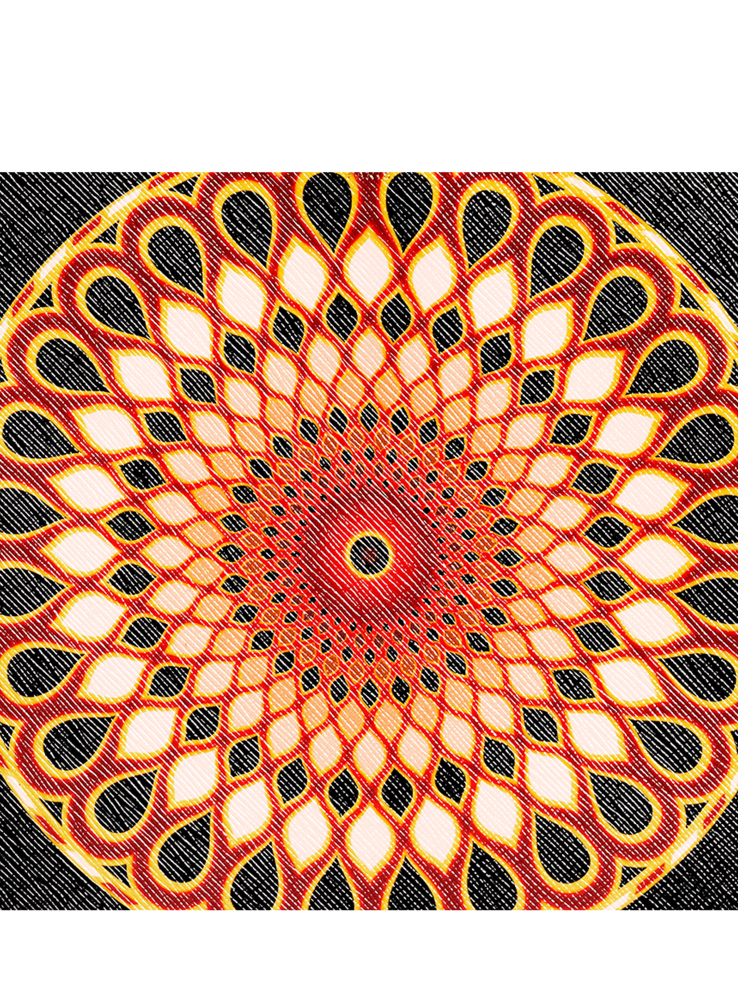 Iconic Print Medium Pouch in Multicolor