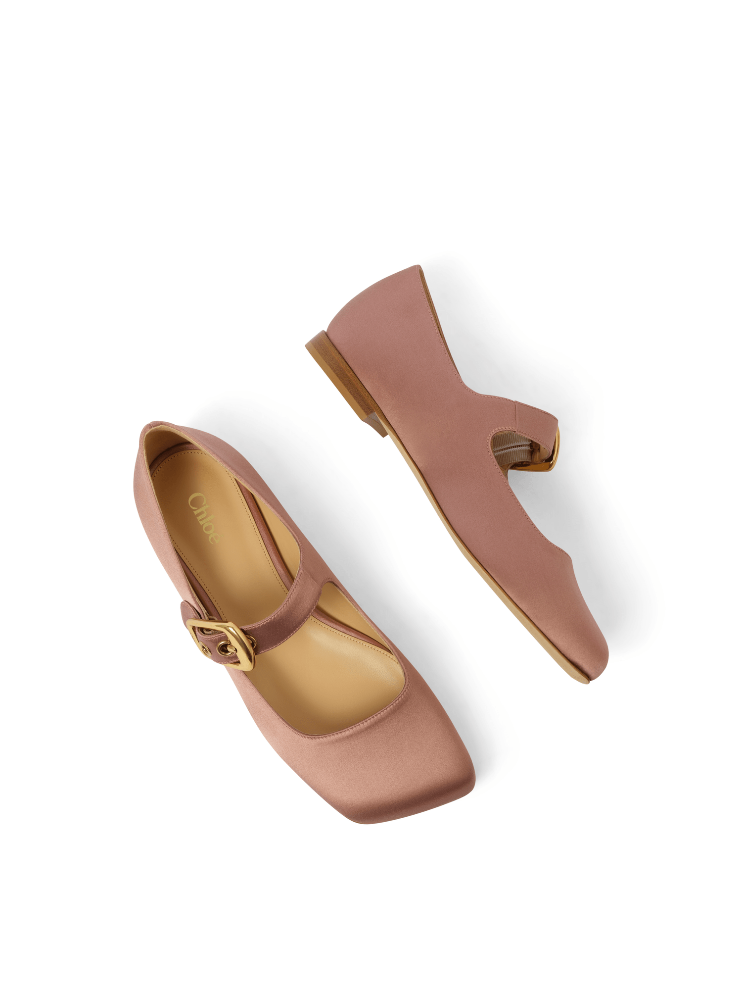 Polly Flats in Misty Rose Top View | CHLOE