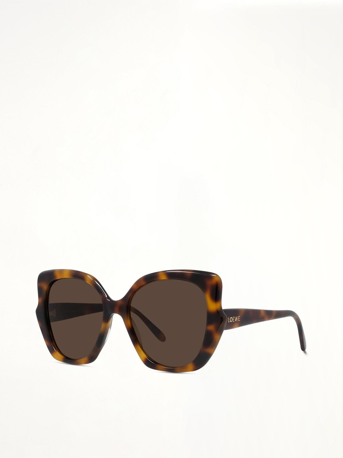 Loewe LW40133F 5552E Acetate Sunglasses in Tortoise