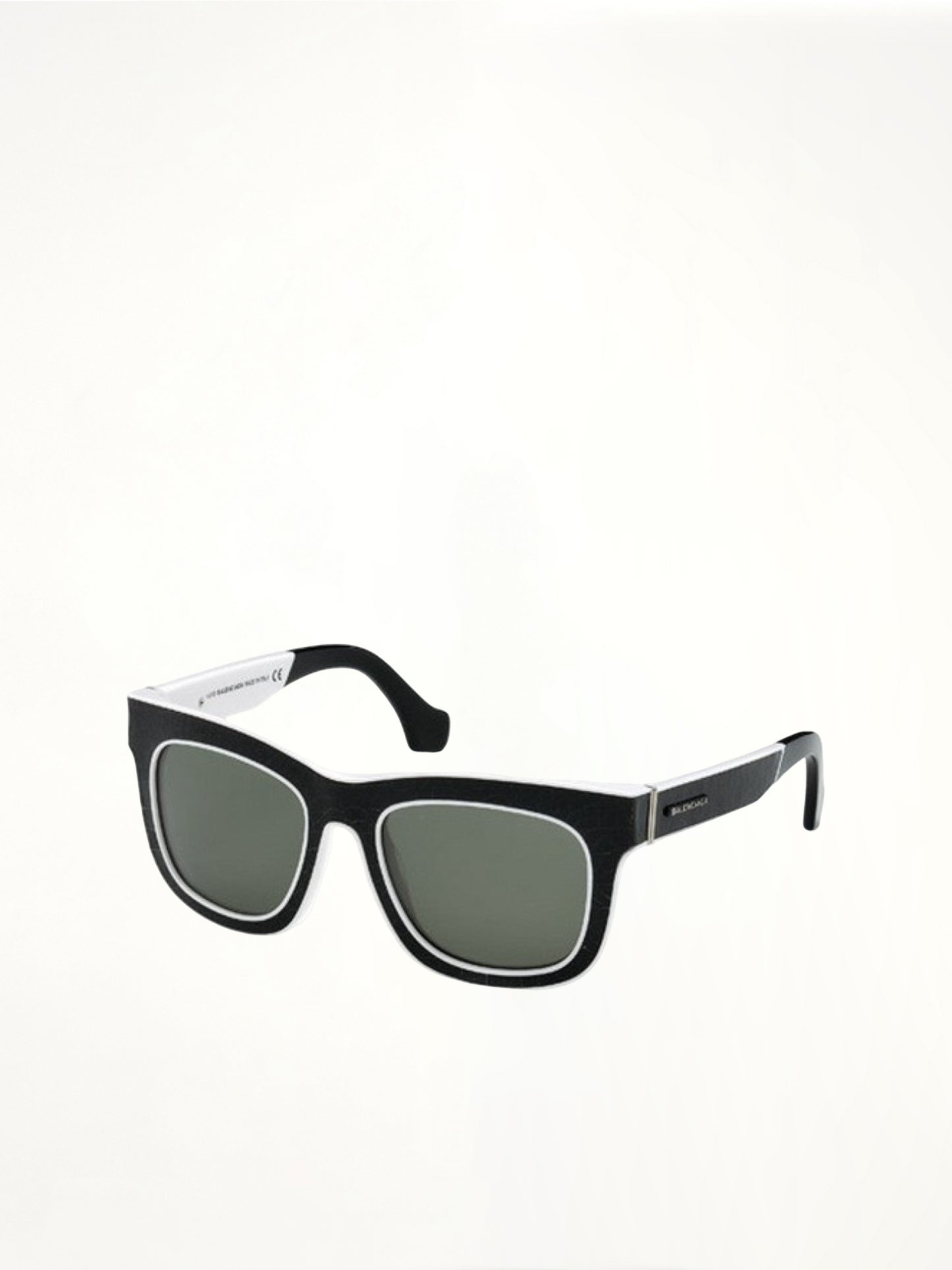 Sunglasses in 04N