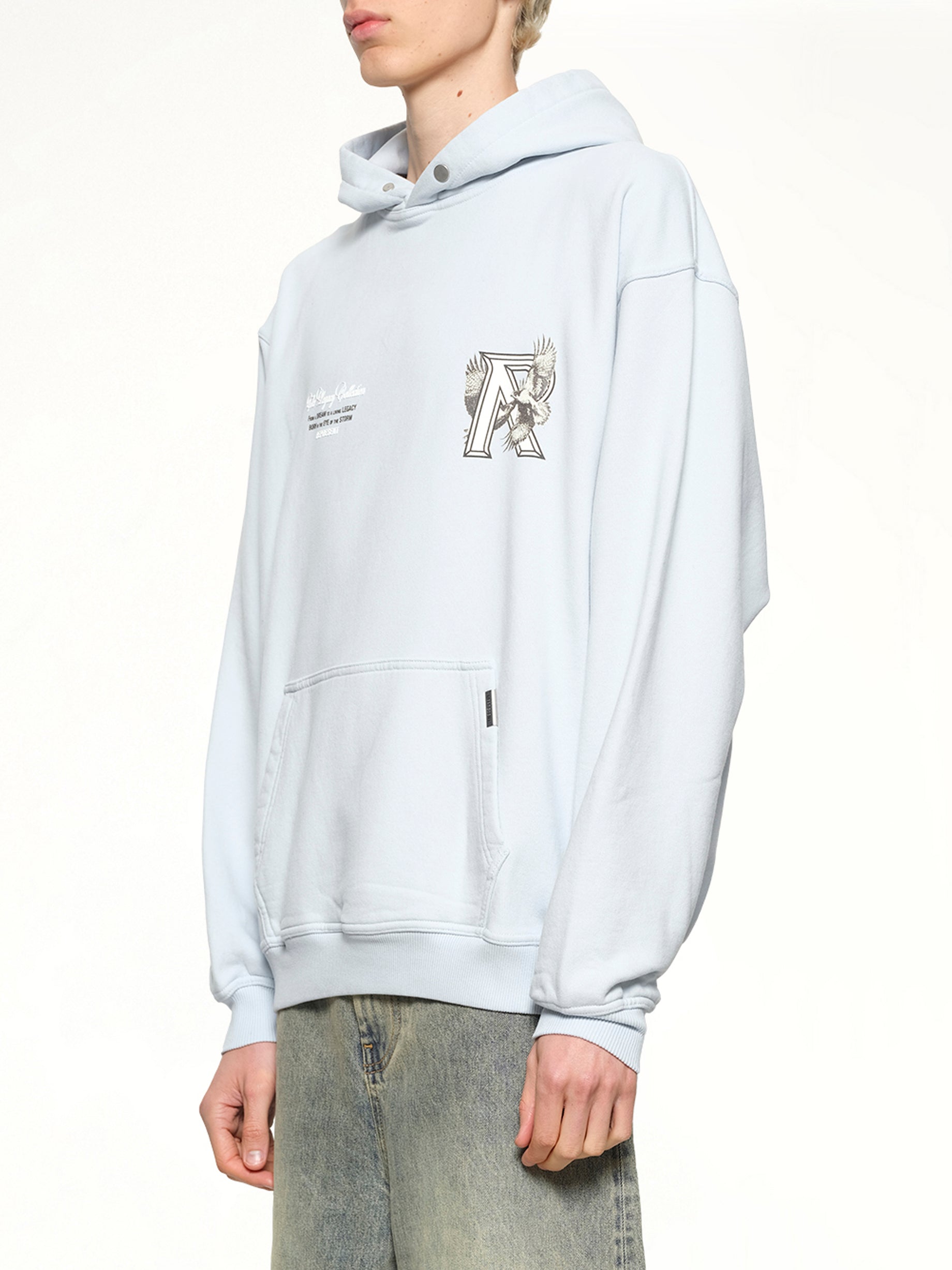 Legacy Falcon Hoodie in Cloud