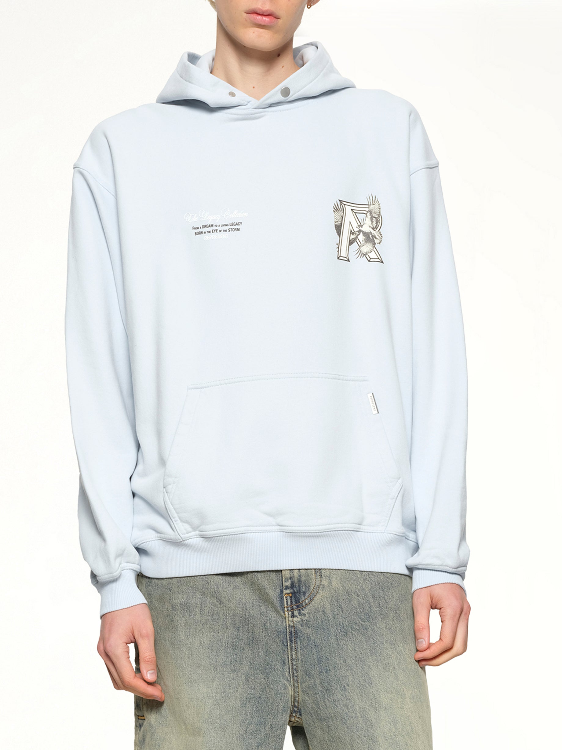 Legacy Falcon Hoodie in Cloud