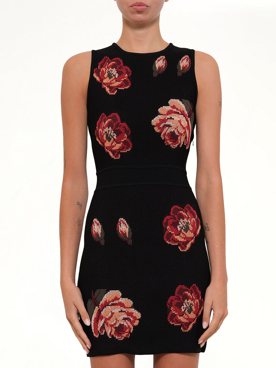 Tapesty Jacquard Mini Dress in Black/Red