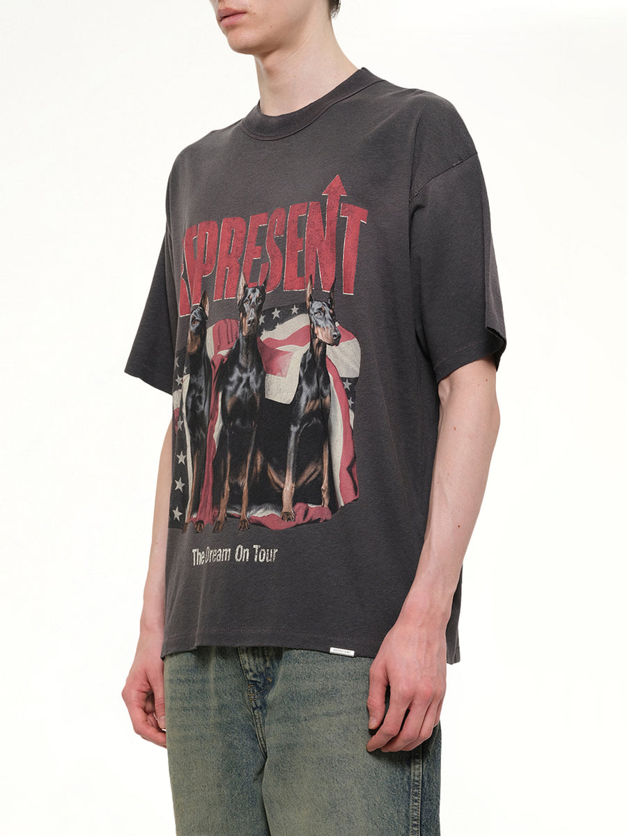 Dream On Tour T-Shirt in Sun Fade Grey