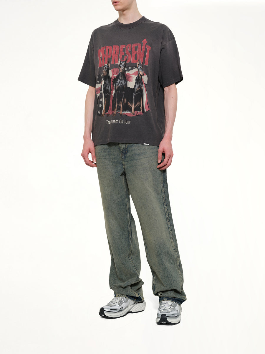 Dream On Tour T-Shirt in Sun Fade Grey