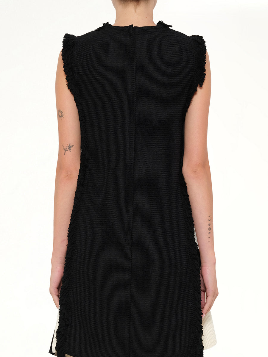 Lanvin Dress in Black/White