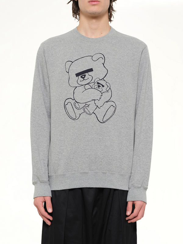 Teddy Sweatshirt in Grey
