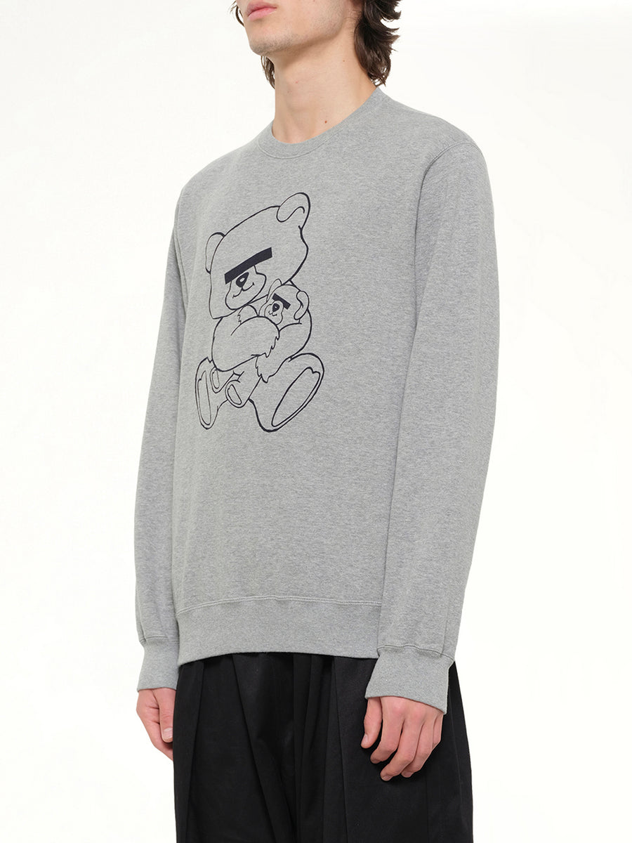 Teddy Sweatshirt in Grey