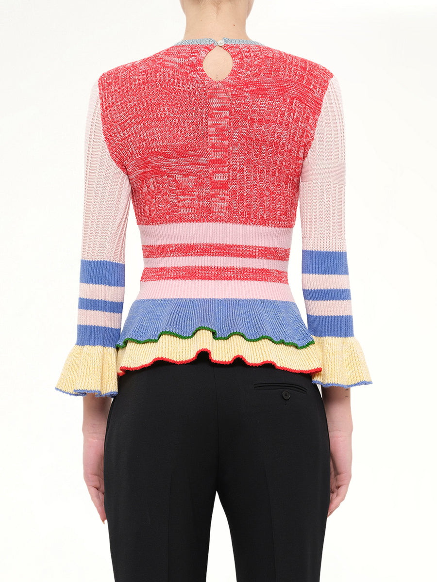 Alexander McQueen Crew Neck Sweater in Mix