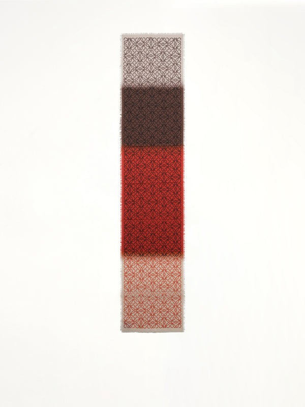 45X200 Anagram Scarf in Multicolour
