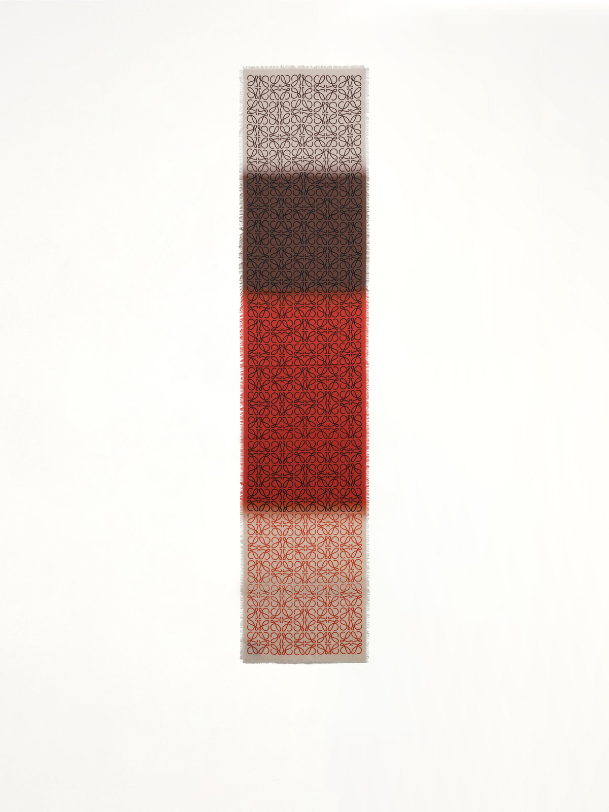 45X200 Anagram Scarf in Multicolour