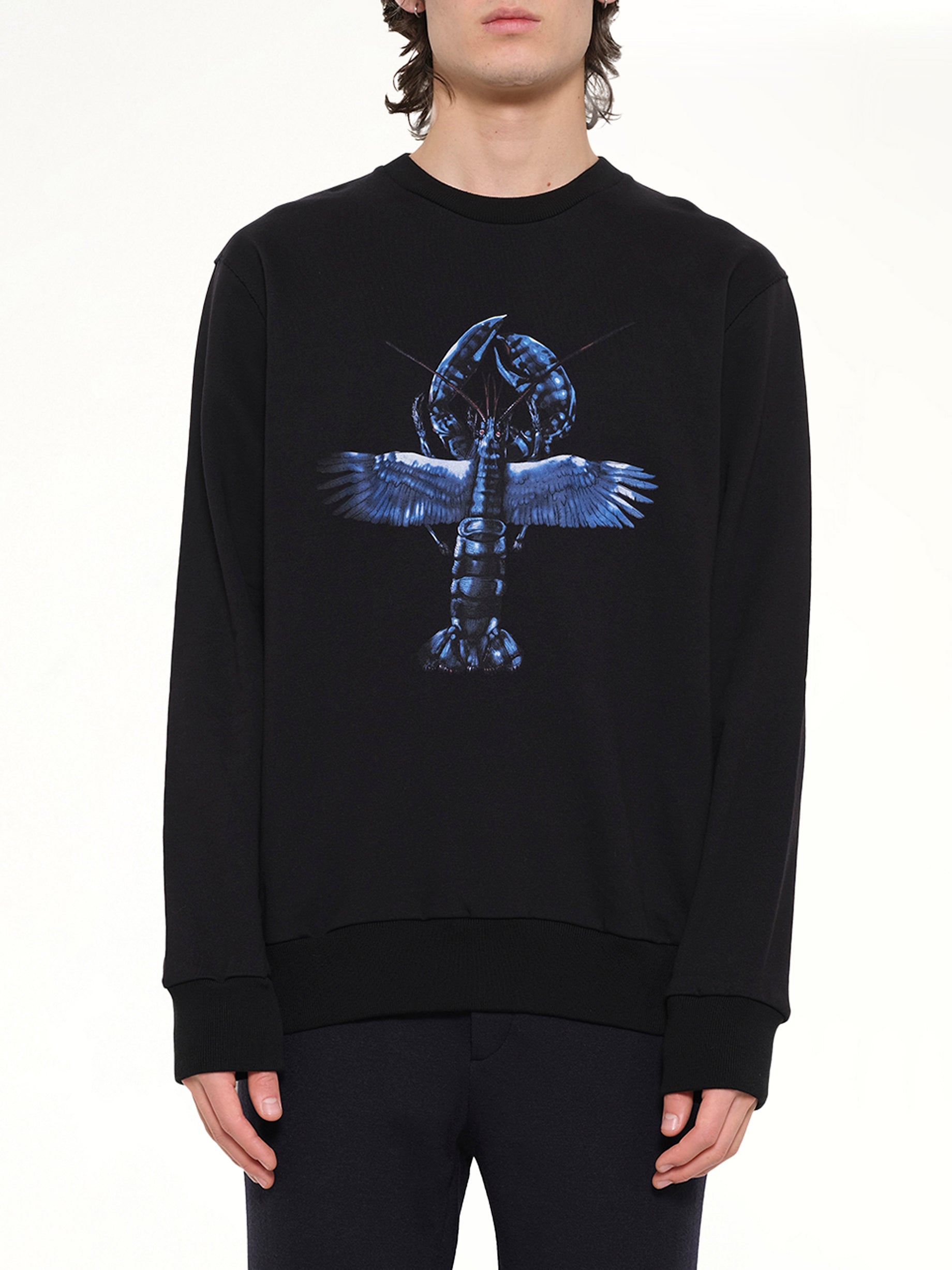 Flying Lobster Sweatshirt in Black