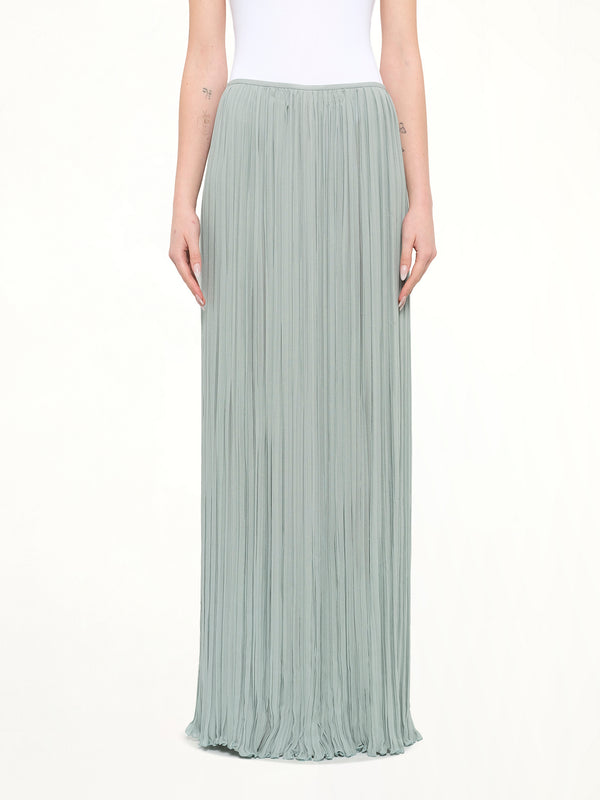 Long Skirt in Blue