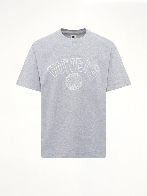 Faded Collegiate T-Shirt in Grey Heather