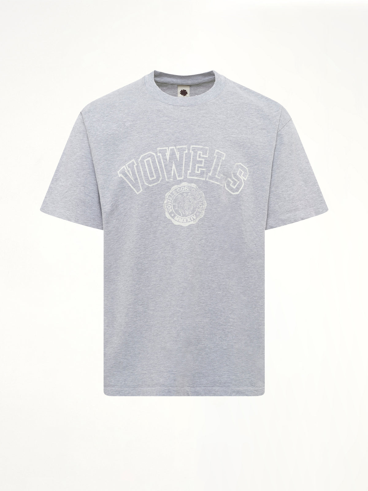 Faded Collegiate T-Shirt in Grey Heather