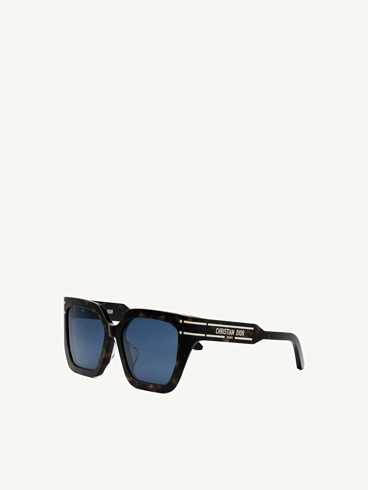 DiorSignature S10F 20B055 Sunglasses in Black
