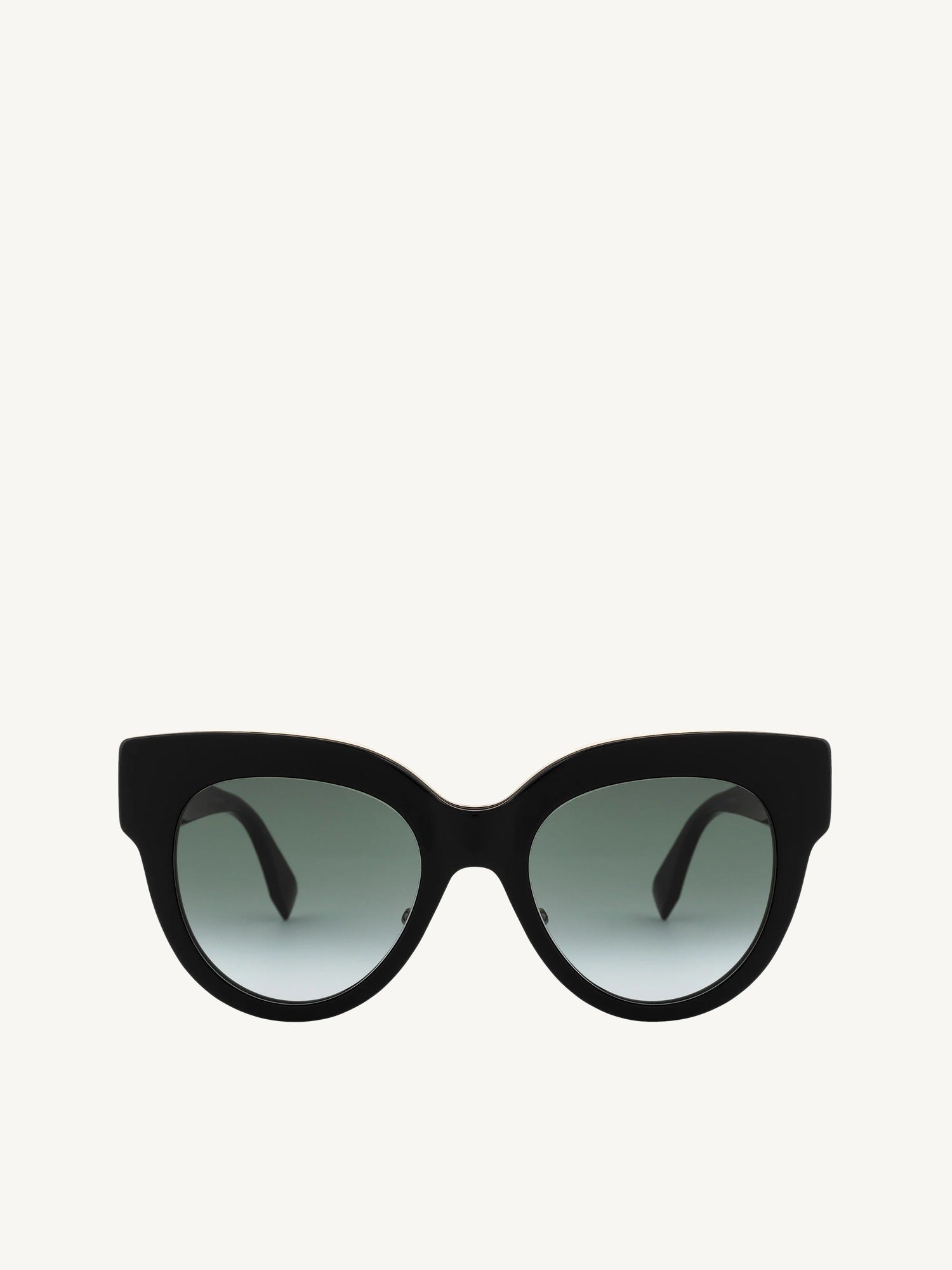 Fendi Sunglasses Ff 0360/G/S in Black