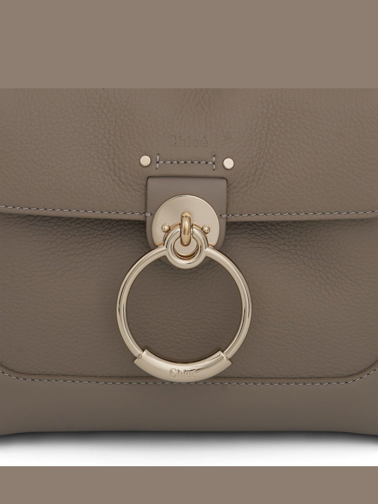 Mini Tess Day Bag in Grained & Shiny Calfskin in Motty Grey