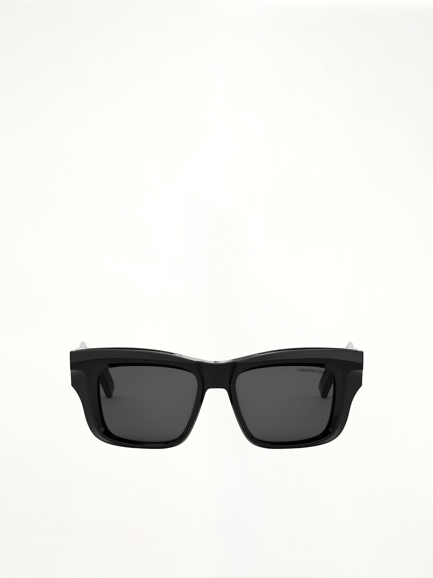 Dior DIORXPLORER S2F 10A052 Sunglasses in Black