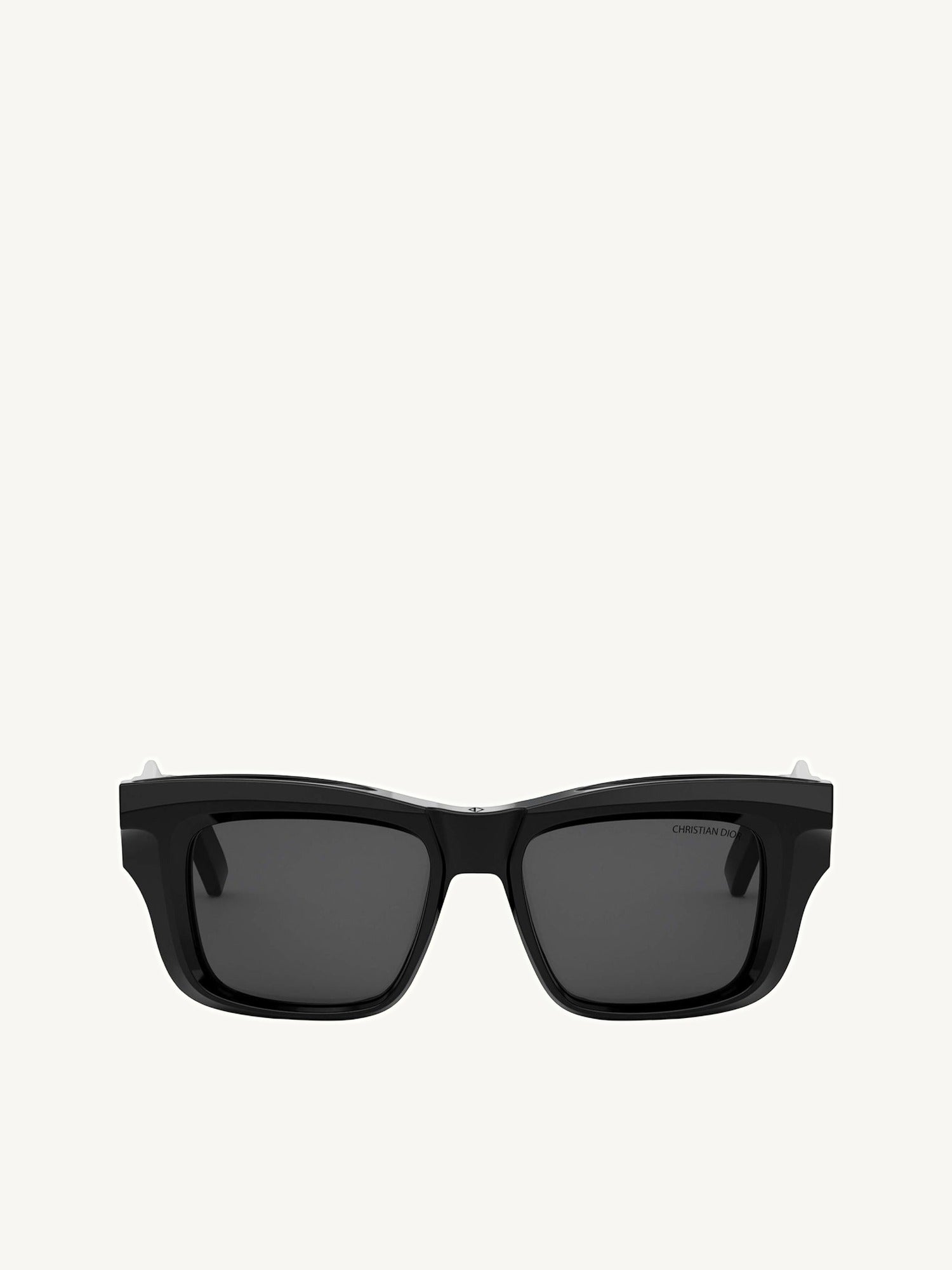 Dior DIORXPLORER S2F 10A052 Sunglasses in Black