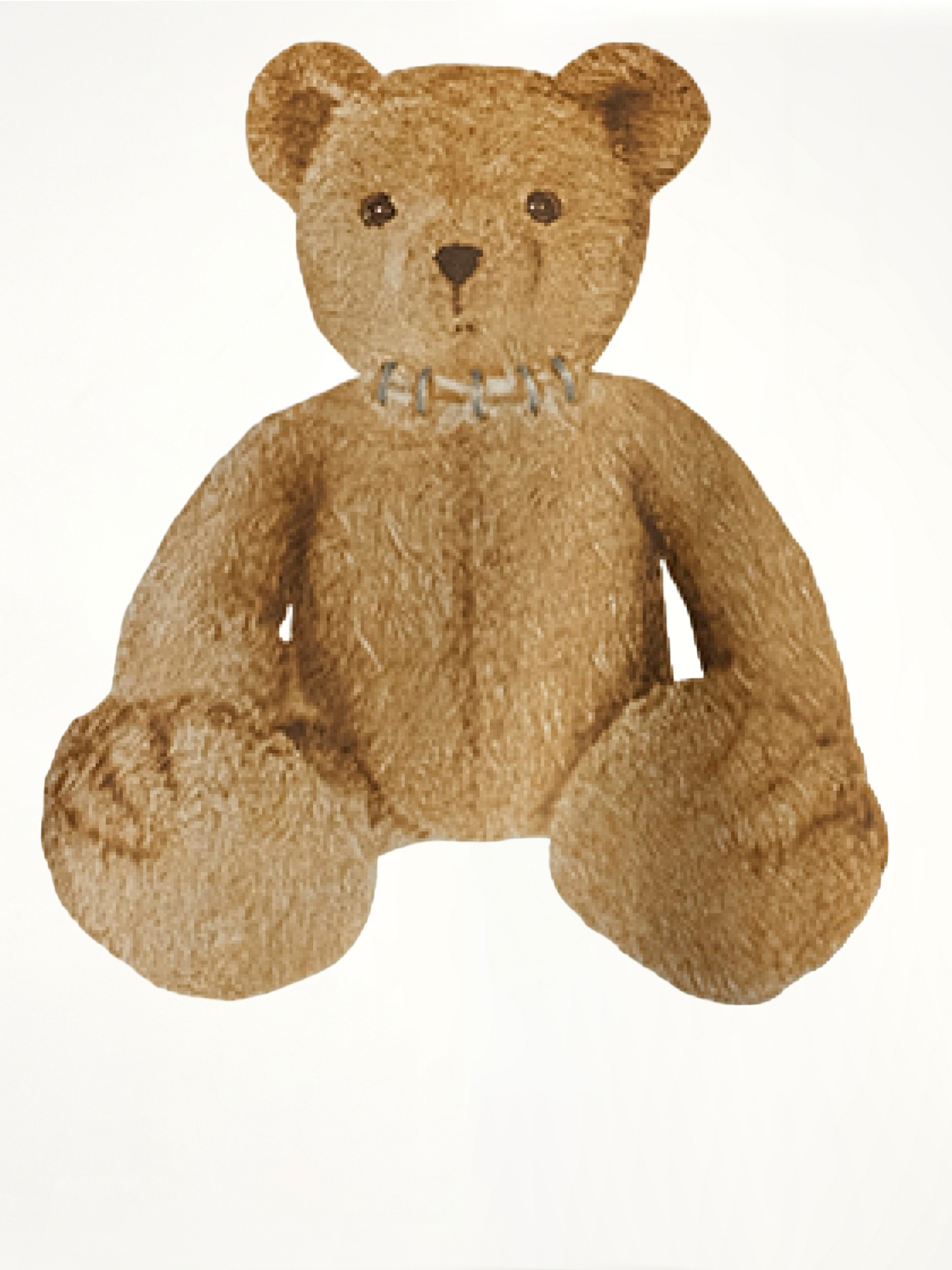 Bear in Mind Regular T-Shirt in Off White/Brown