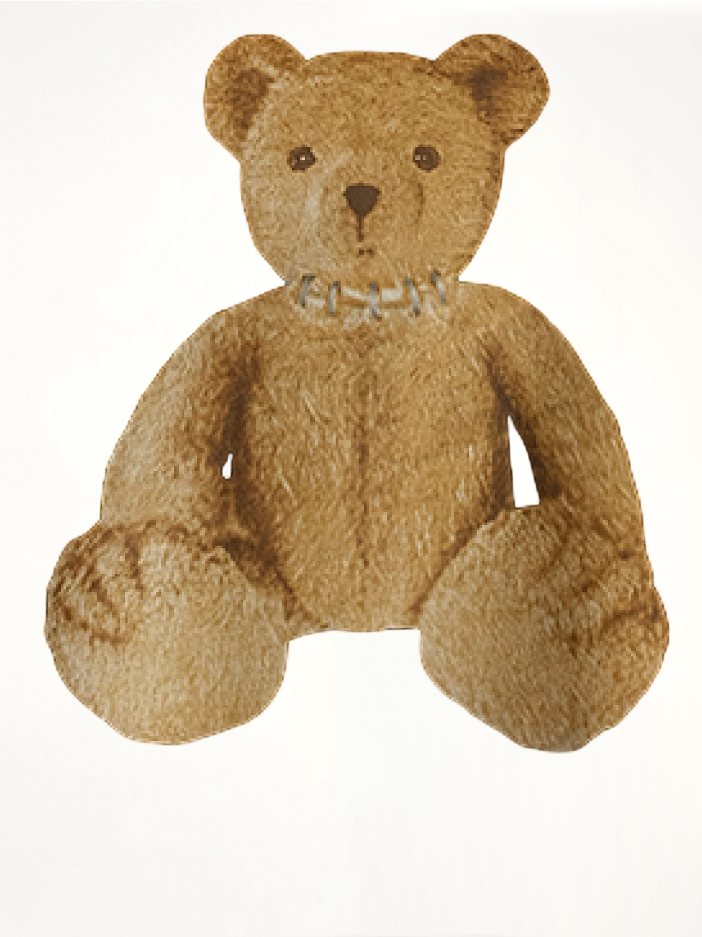 Bear in Mind Regular T-Shirt in Black/Brown