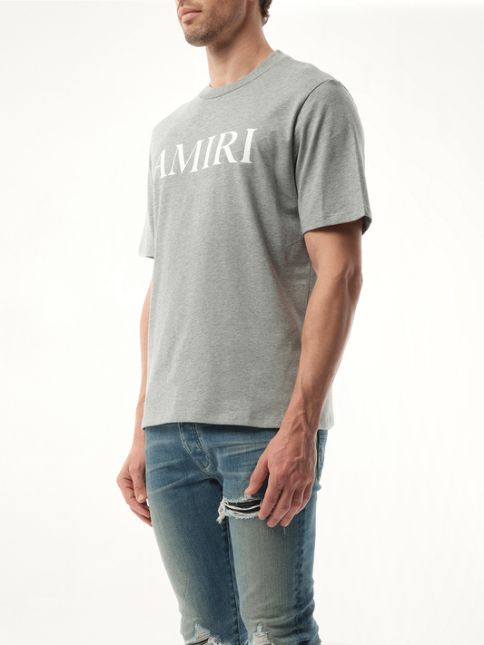 Amiri Core Logo T-Shirt in Grey