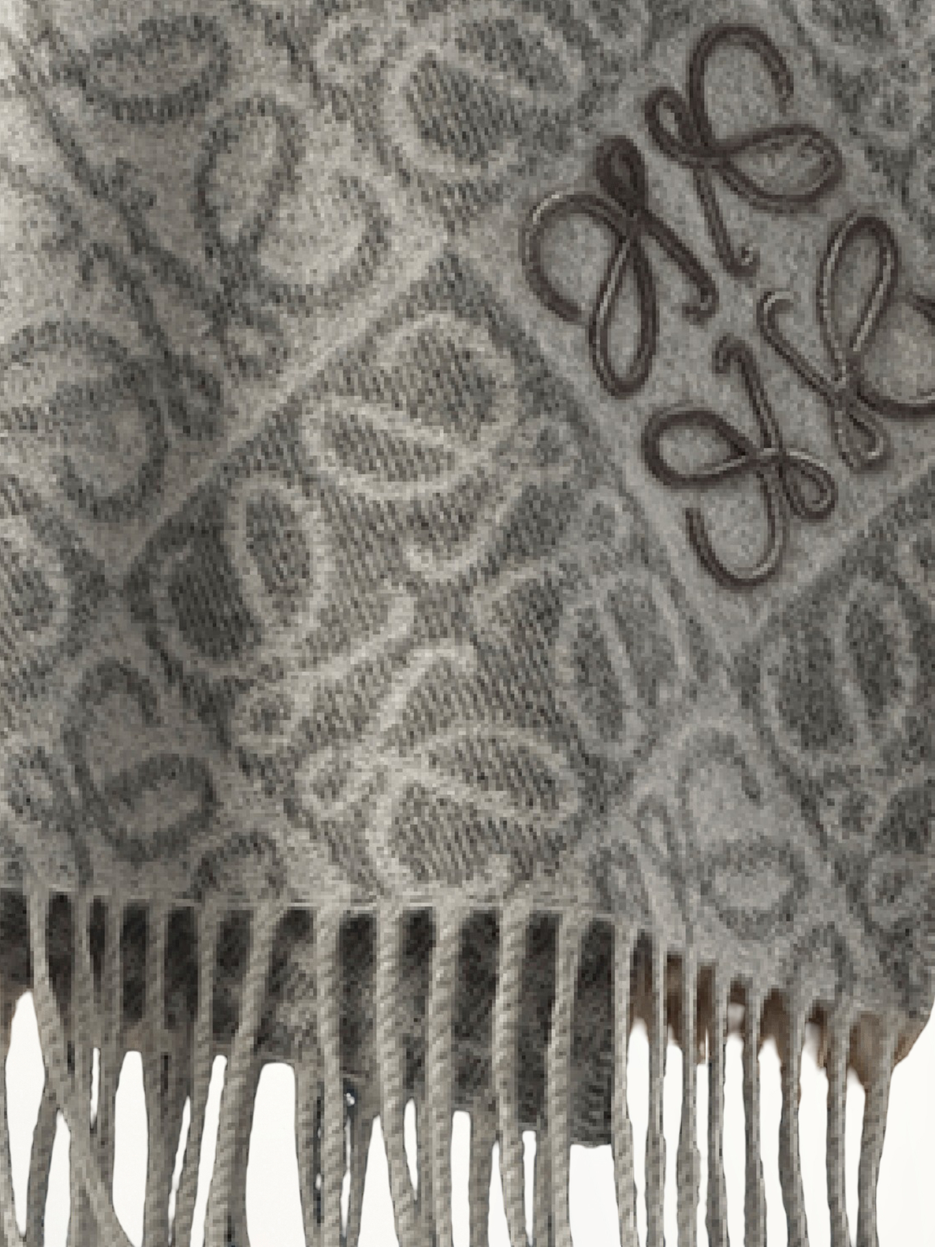 Anagram Wool Cashmere Scarf in Grey
