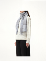 Anagram Wool Cashmere Scarf in Blue/White