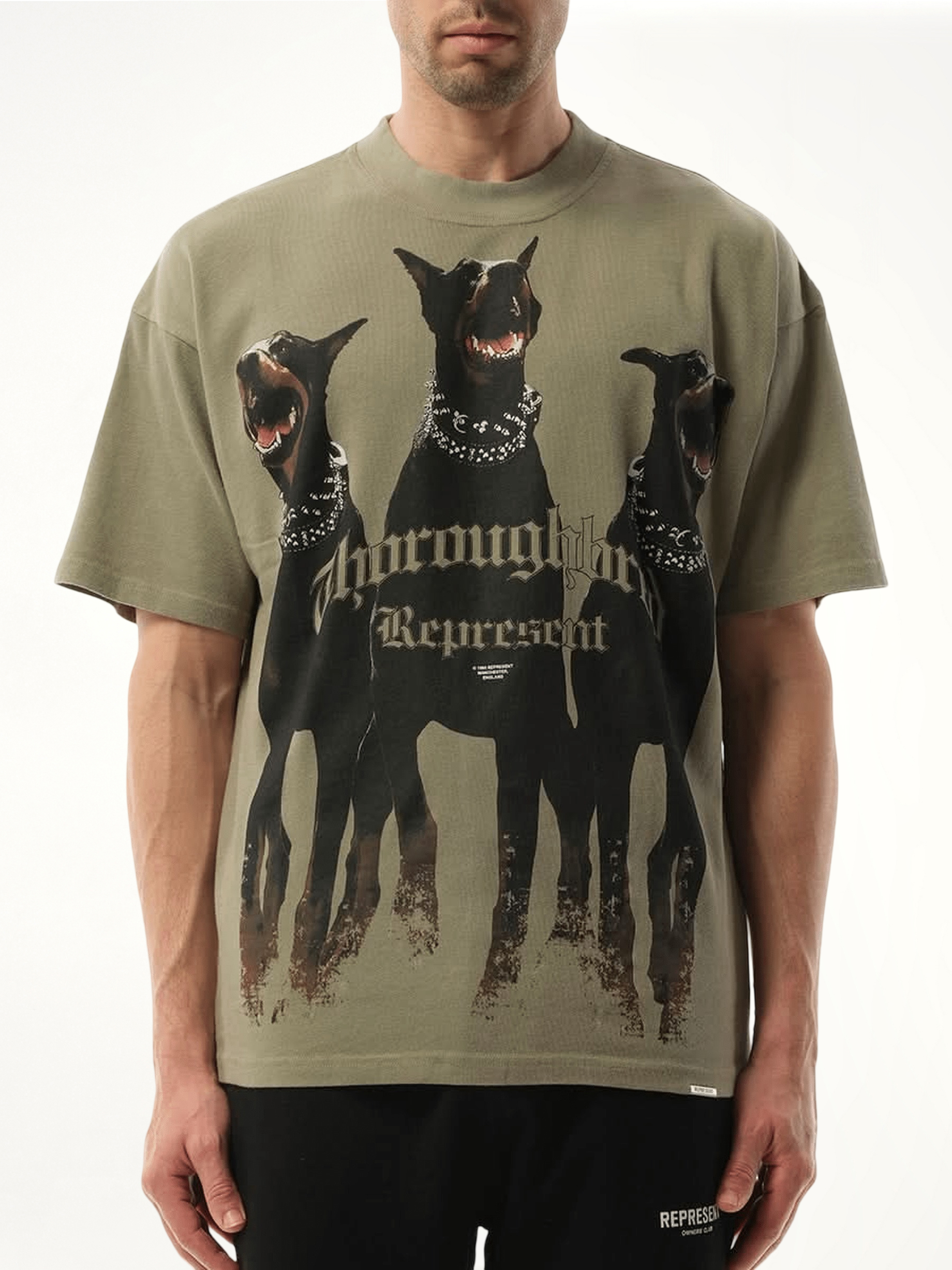 Thoroughbred T-Shirt in Khaki